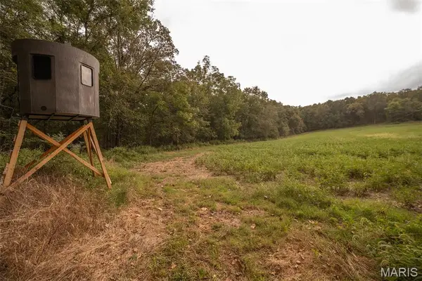 00 Abbott Road, Bellflower, MO 63333