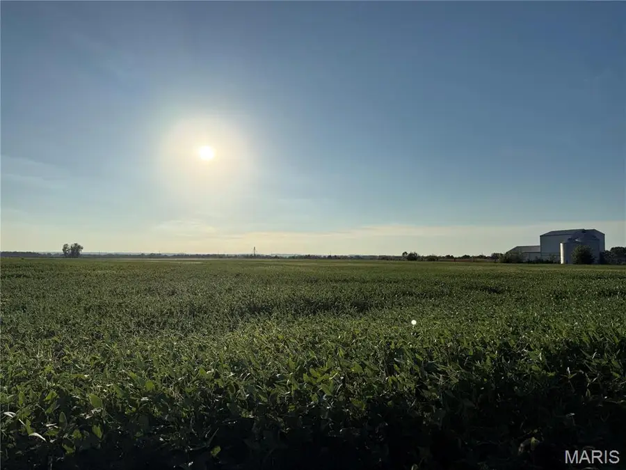 000 Bluff Road, Valmeyer, IL 62295 - #3