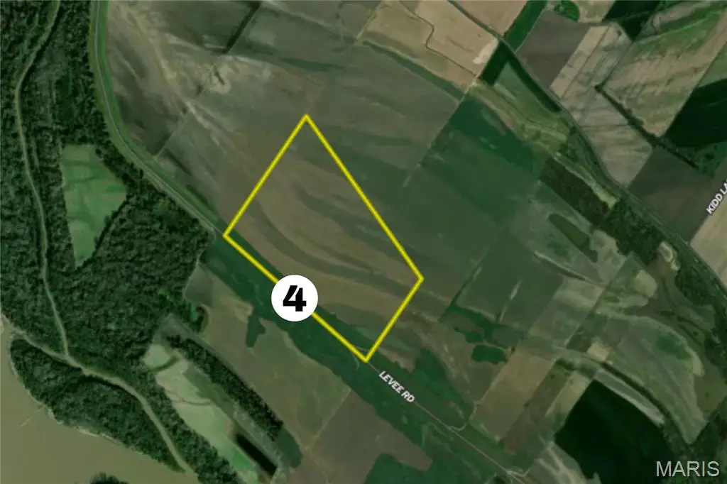 00 Levee Road, Fults, IL 62244 - #1