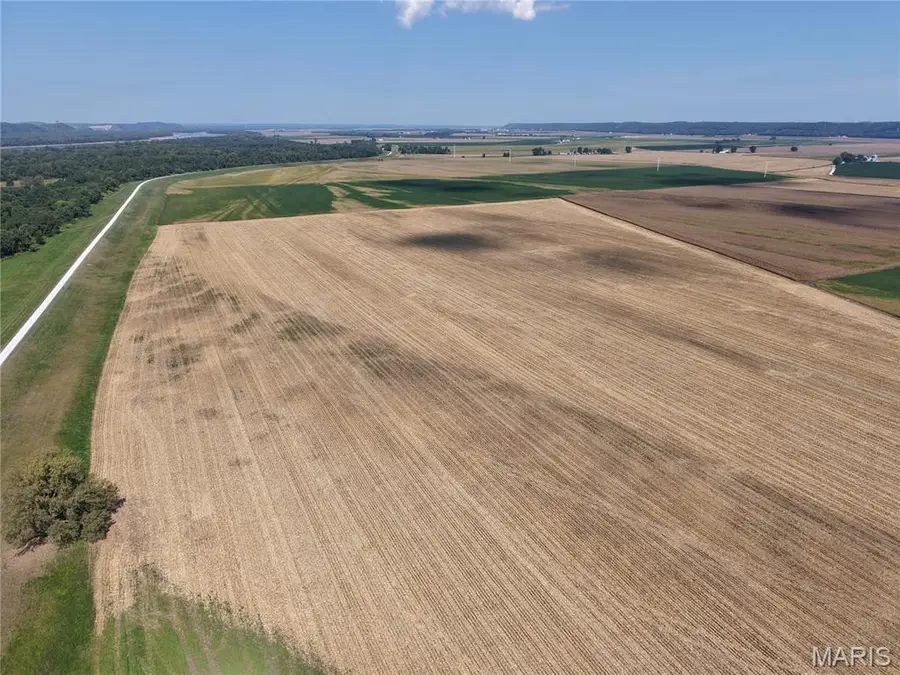 00 Levee Road, Fults, IL 62244 - #2
