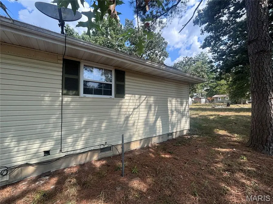 668 Lone Pine Road, Houston, MO 65483 - #3