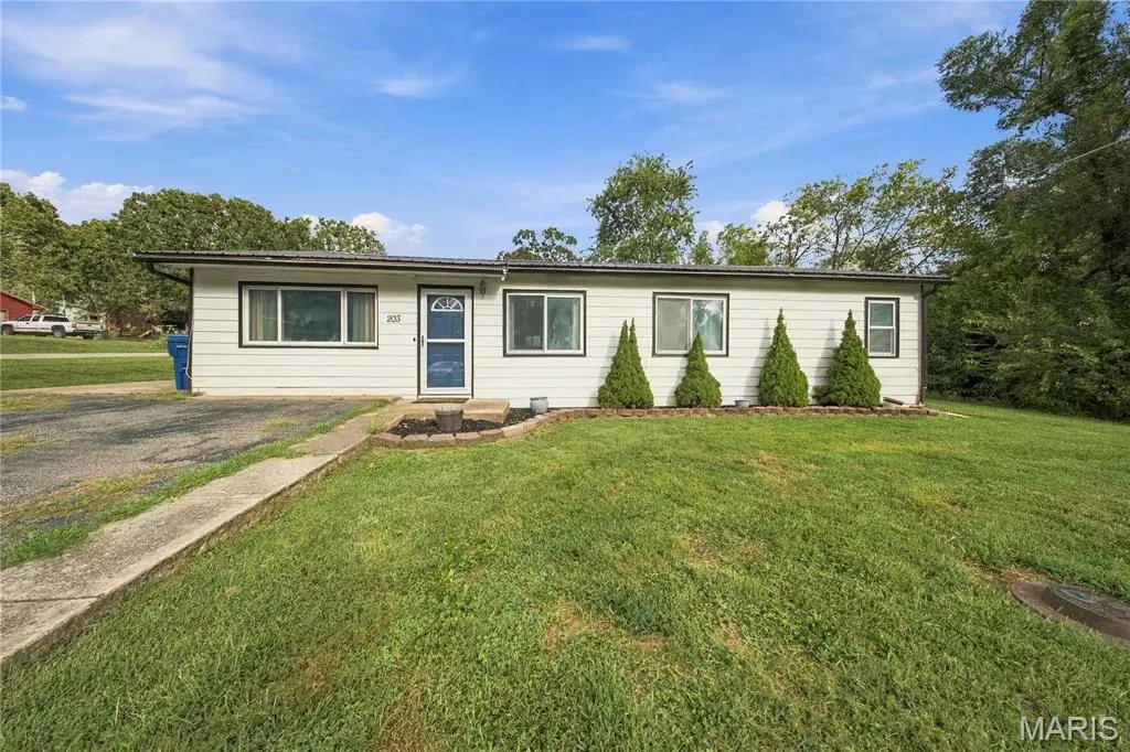 203 N Ellen Street, Dixon, MO 65459 - #1