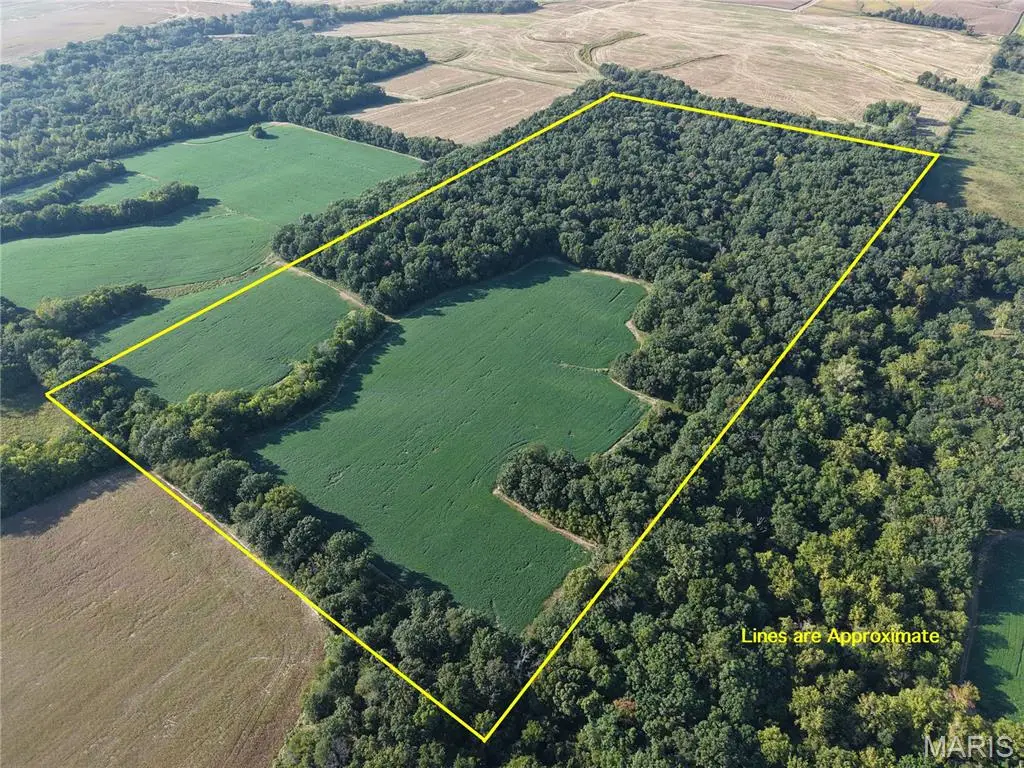 00 Wesbecher Road, Ellis Grove, IL 62241 - #1