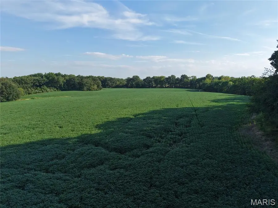 00 Wesbecher Road, Ellis Grove, IL 62241 - #2