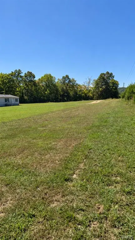 7221 Wayne Rt Ff, Patterson, MO 63956 - #2