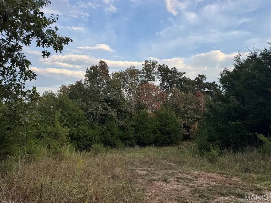 0 Calvin Lane, Dixon, MO 65459 - #2