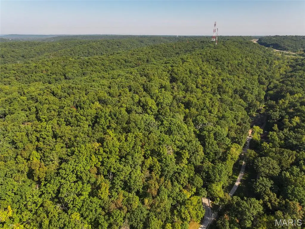 Off Buckeye Valley Road, House Springs, MO 63051 - #1