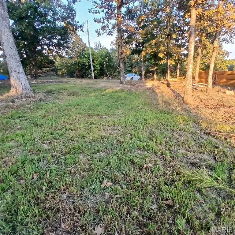 1409 W Buck Hollow Drive, Ironton, MO 63650 - #2