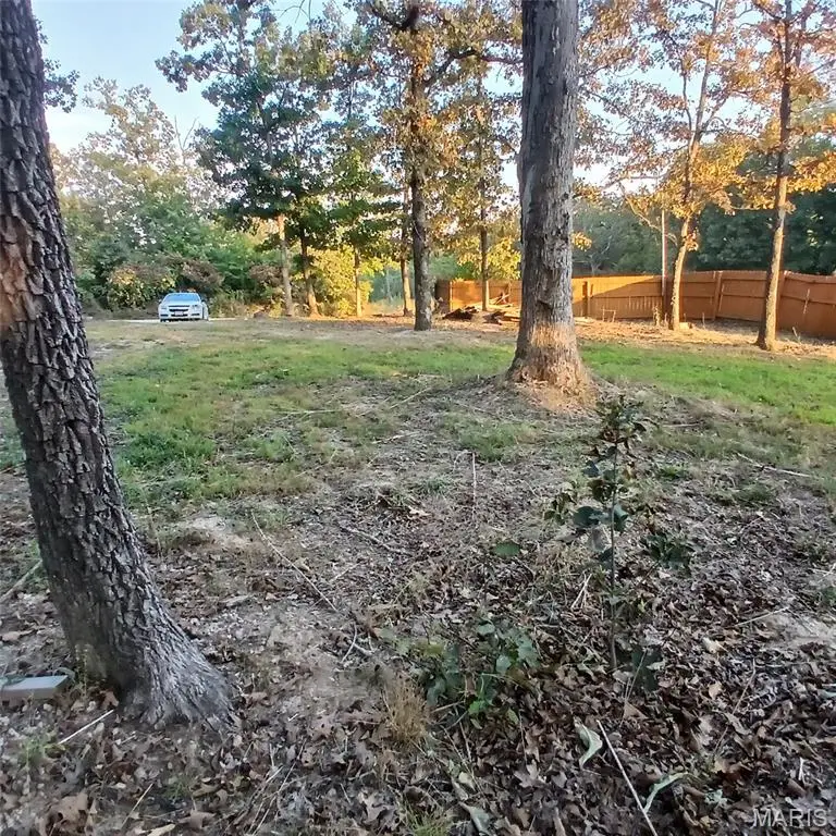 1409 W Buck Hollow Drive, Ironton, MO 63650 - #3