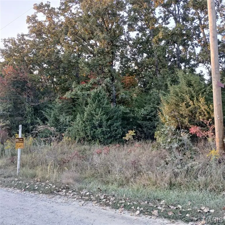 587 W Lakeview Drive, Ironton, MO 63650 - #2