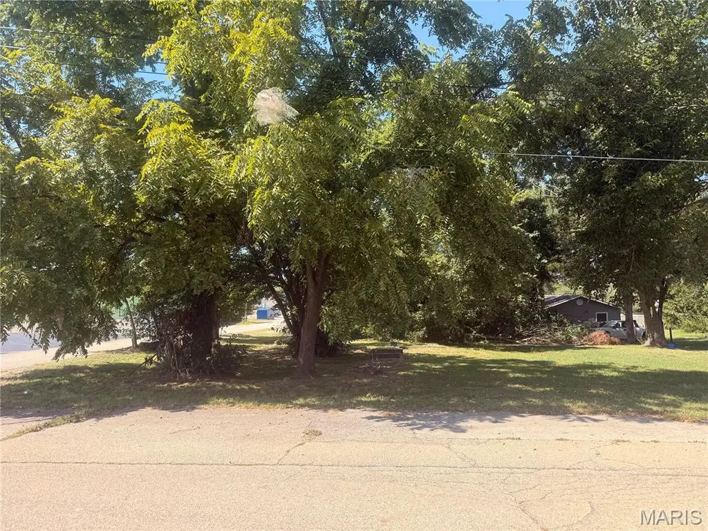 104 6th Street, Park Hills, MO 63601 - #1