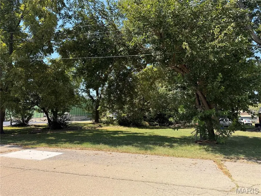 104 6th Street, Park Hills, MO 63601 - #3