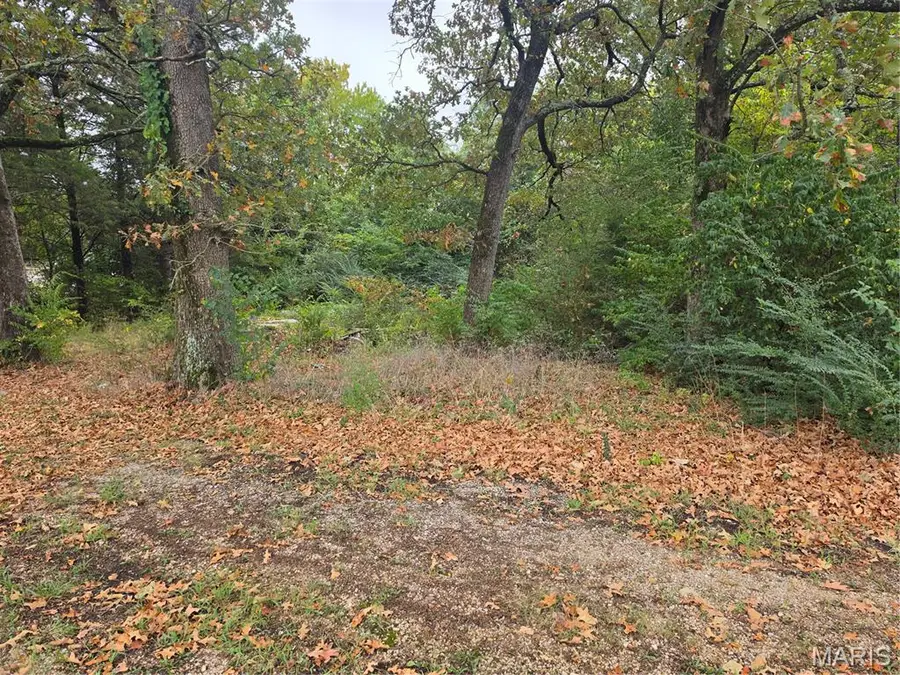 920 Davis Street, Poplar Bluff, MO 63901 - #2