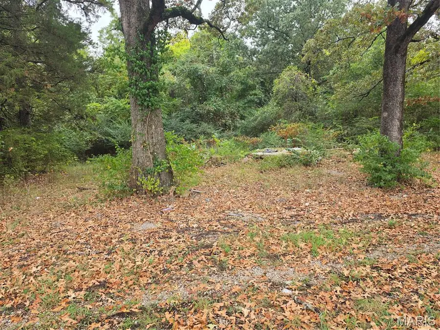 920 Davis Street, Poplar Bluff, MO 63901 - #3