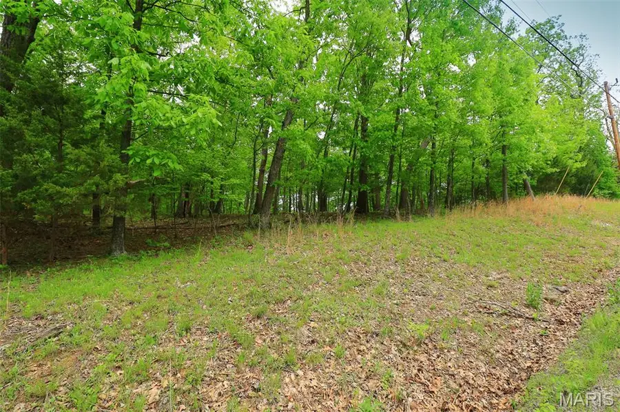 782 Village Green Drive, Marthasville, MO 63357 - #2