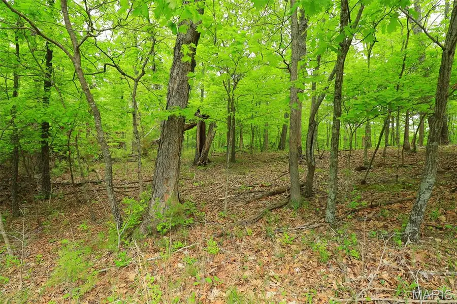 782 Village Green Drive, Marthasville, MO 63357 - #3