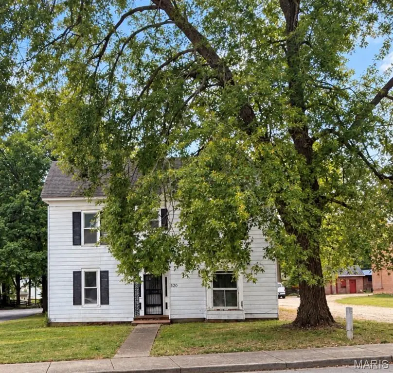 320 W Columbia Street, Farmington, MO 63640 - #2