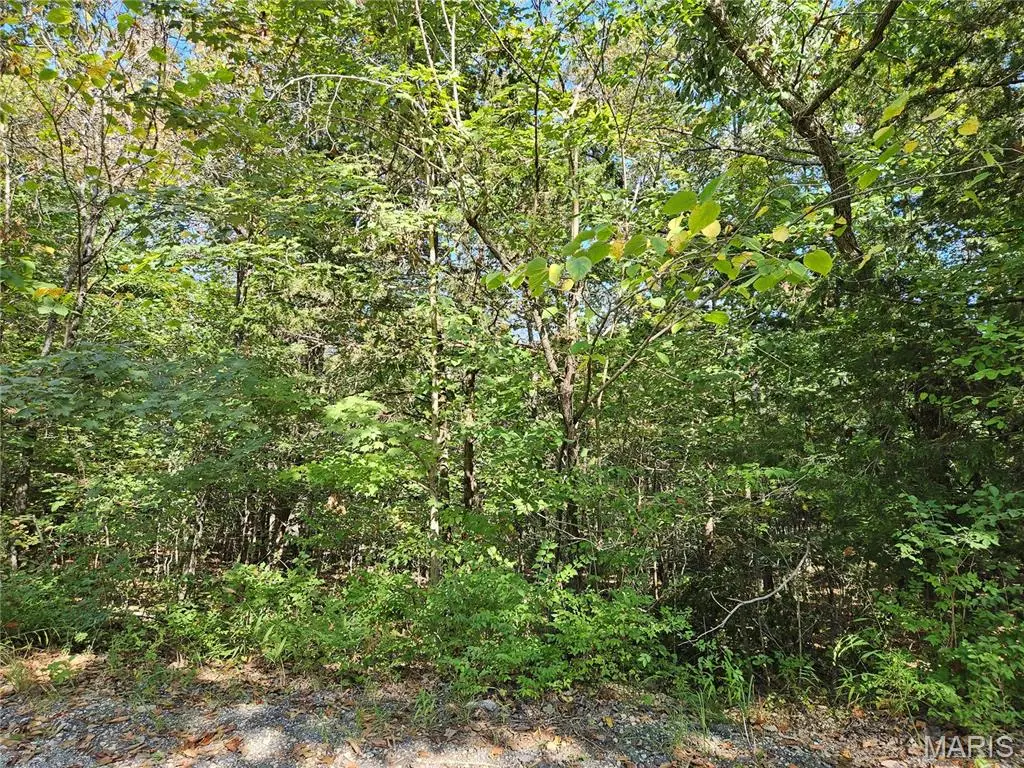 9488 Bent Tree Drive, Hillsboro, MO 63050 - #1