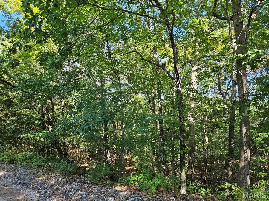 9488 Bent Tree Drive, Hillsboro, MO 63050 - #2