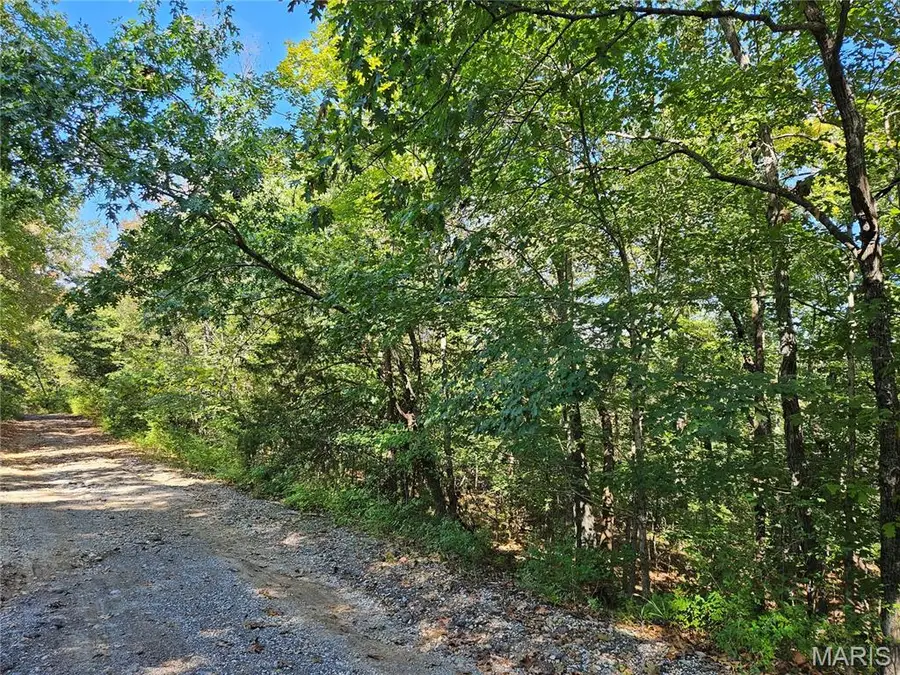 9488 Bent Tree Drive, Hillsboro, MO 63050 - #3