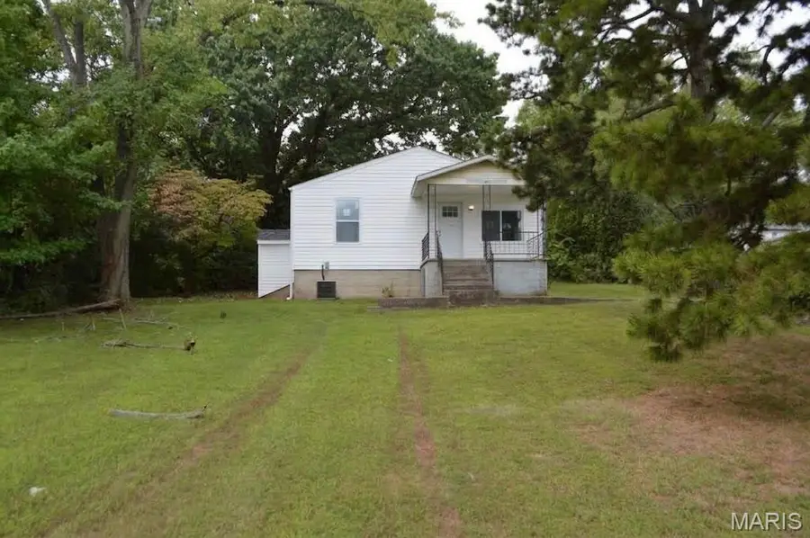 1019 Vine Street, Festus, MO 63028 - #2