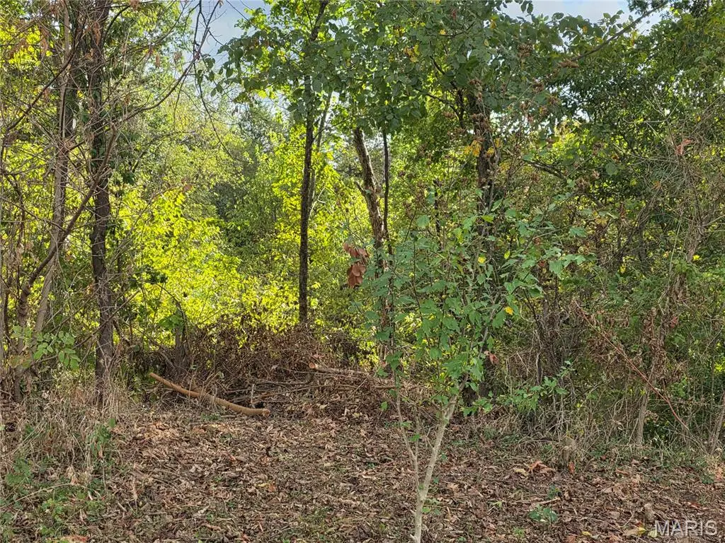 xxx Bluff Circle, Waynesville, MO 65583 - #1