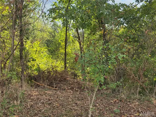 xxx Bluff Circle, Waynesville, MO 65583
