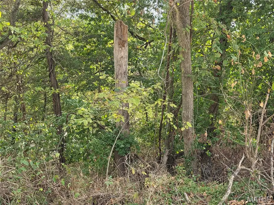 xxx Bluff Circle, Waynesville, MO 65583 - #3