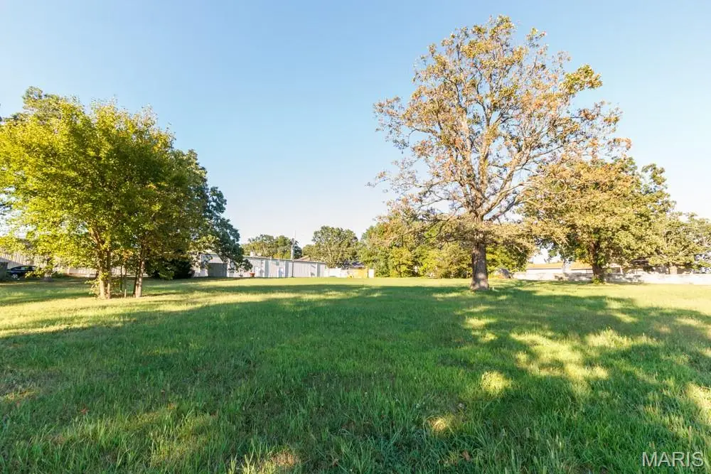 1076 Lynn Street, Lebanon, MO 65536 - #1