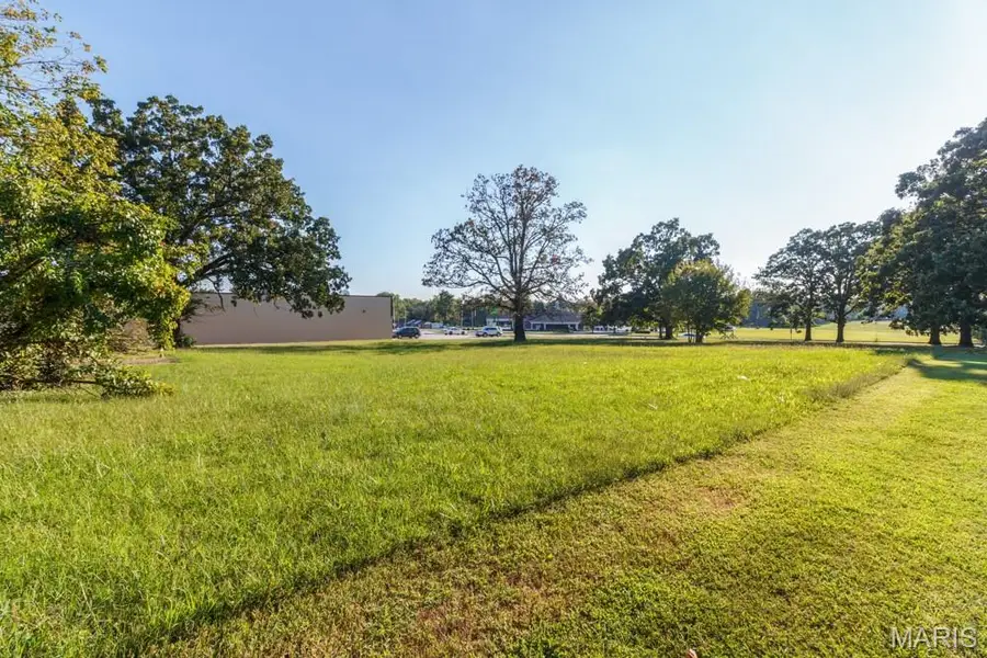 1076 Lynn Street, Lebanon, MO 65536 - #3