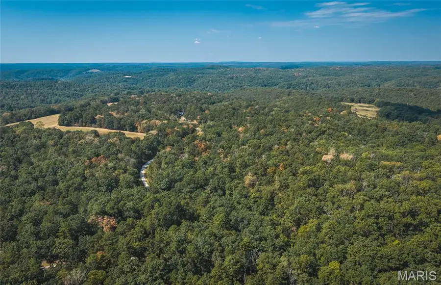 5409 Highway Yy, Salem, MO 65560 - #2