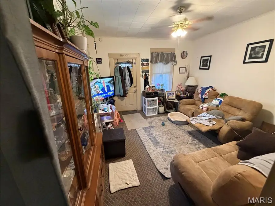 117 W Cartwright Avenue, Lemay, MO 63125 - #3