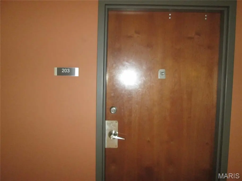 1520 Washington Avenue #203, Saint Louis, MO 63103 - #1