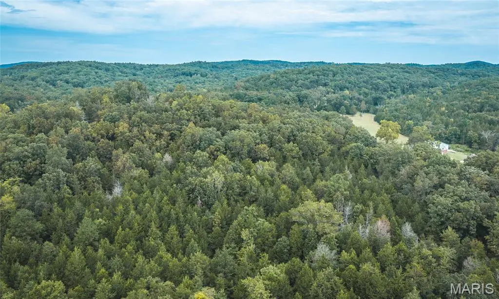 0 County Road 342 A Tract 2, Lesterville, MO 63654 - #1