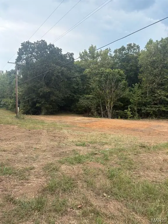 0 Wayne 213, Silva, MO 63964 - #3