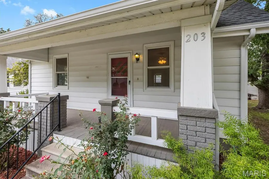 203 S 14th Street, Belleville, IL 62220 - #2
