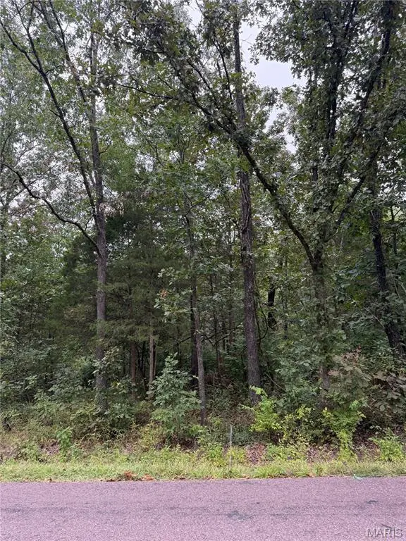 2128 Lone Wolf Drive, Cuba, MO 65453 - #1