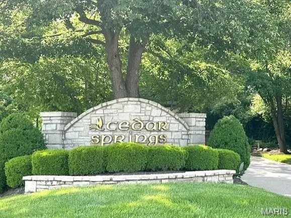 14312 Willow Spring Hill Drive, Town And Country, MO 63017 - #2