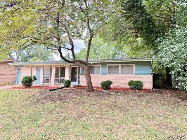 2320 Saint Catherine Street, Florissant, MO 63033 - #1