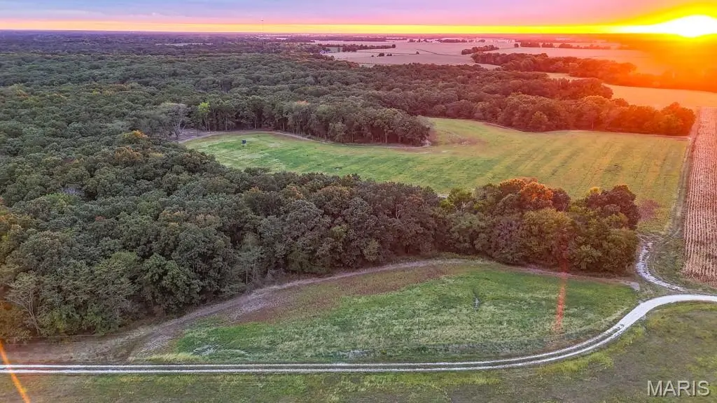 000 Highway Dd, Bellflower, MO 63333 - #1