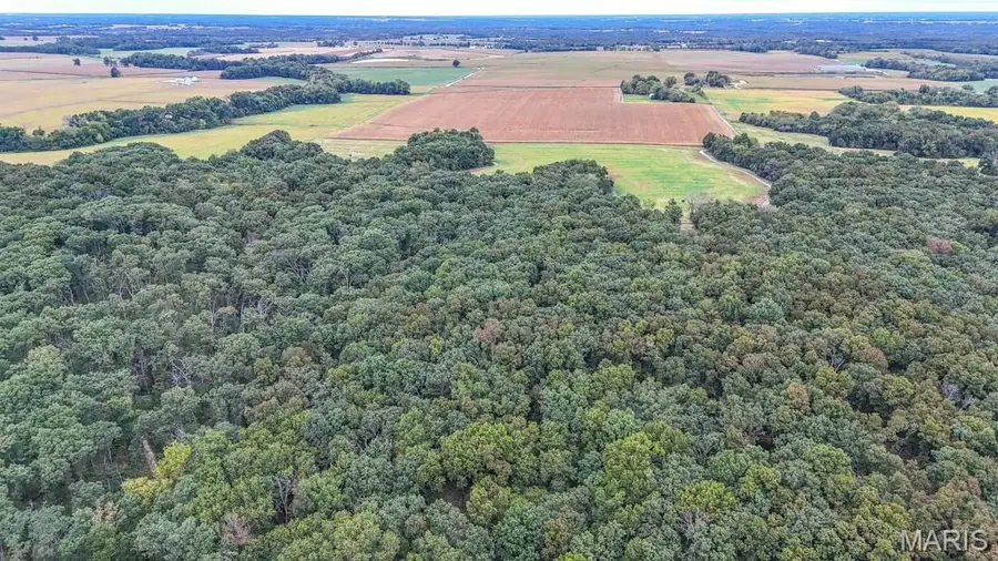 000 Highway Dd, Bellflower, MO 63333 - #3