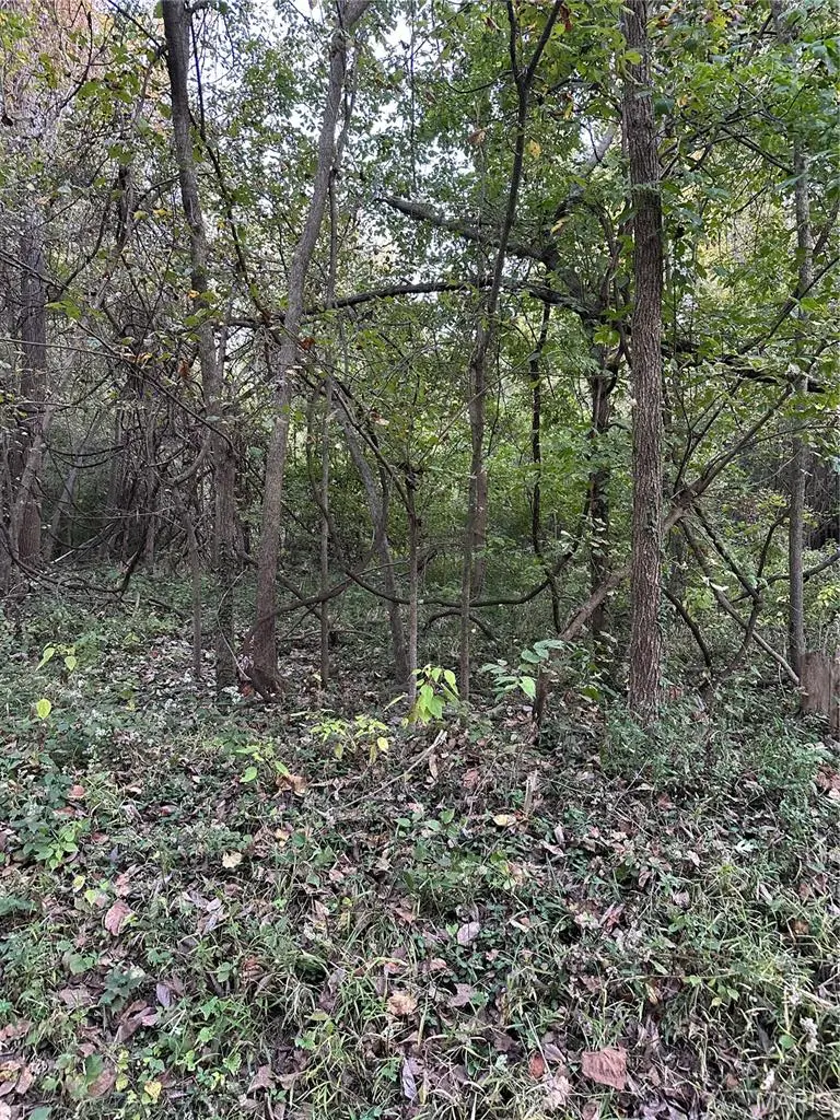 0 Corisande Hills Rd., Fenton, MO 63026 - #1