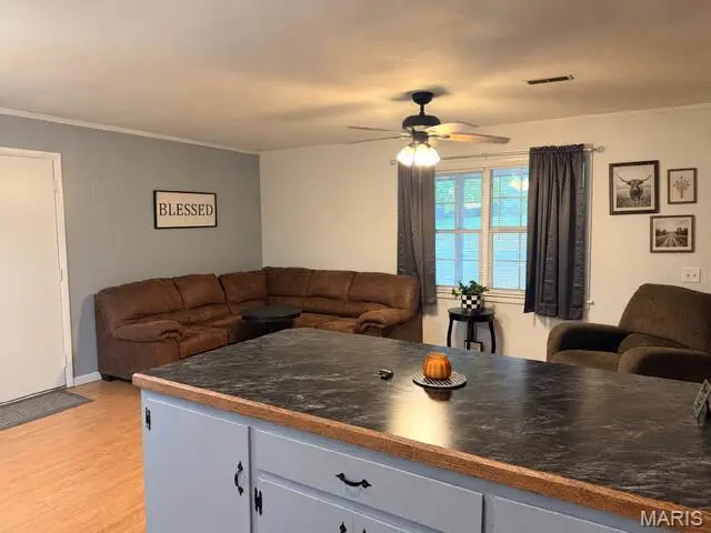 522 Hunter Avenue, Summersville, MO 65571 - #3