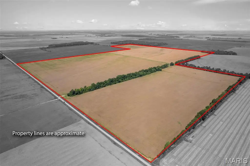 000 County Road 507, East Prairie, MO 63845 - #1