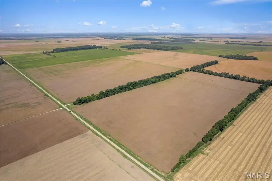 000 County Road 507, East Prairie, MO 63845 - #2