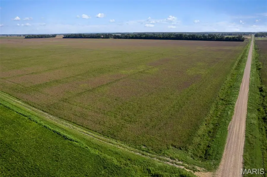 000 County Road 507, East Prairie, MO 63845 - #3