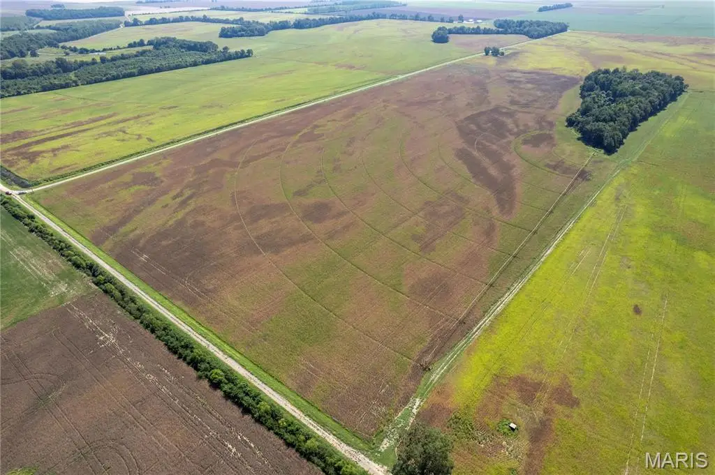 000 County Road 512, East Prairie, MO 63845 - #1
