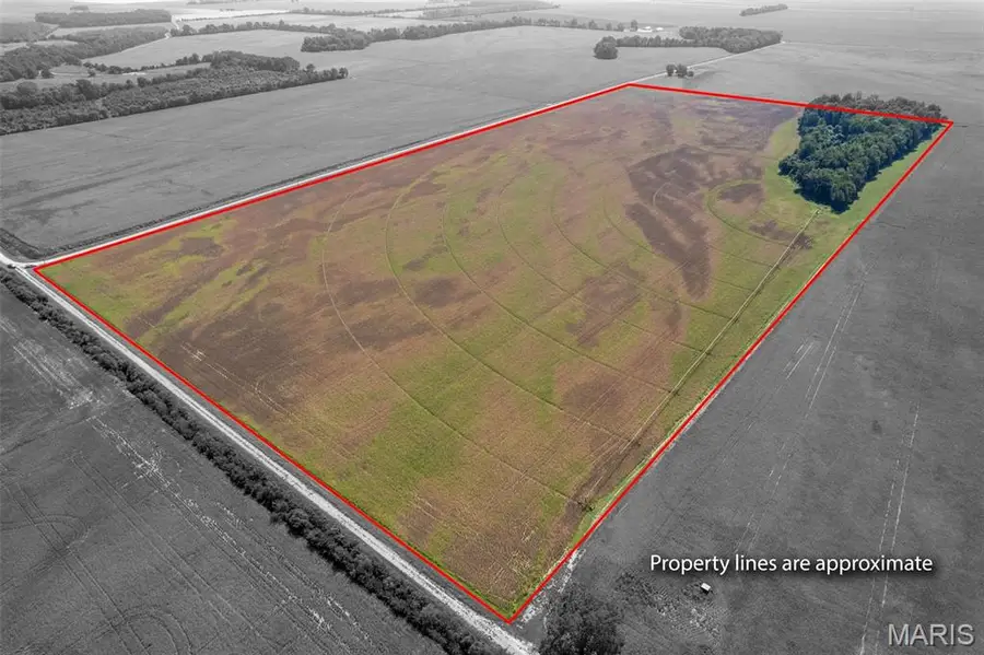000 County Road 512, East Prairie, MO 63845 - #3