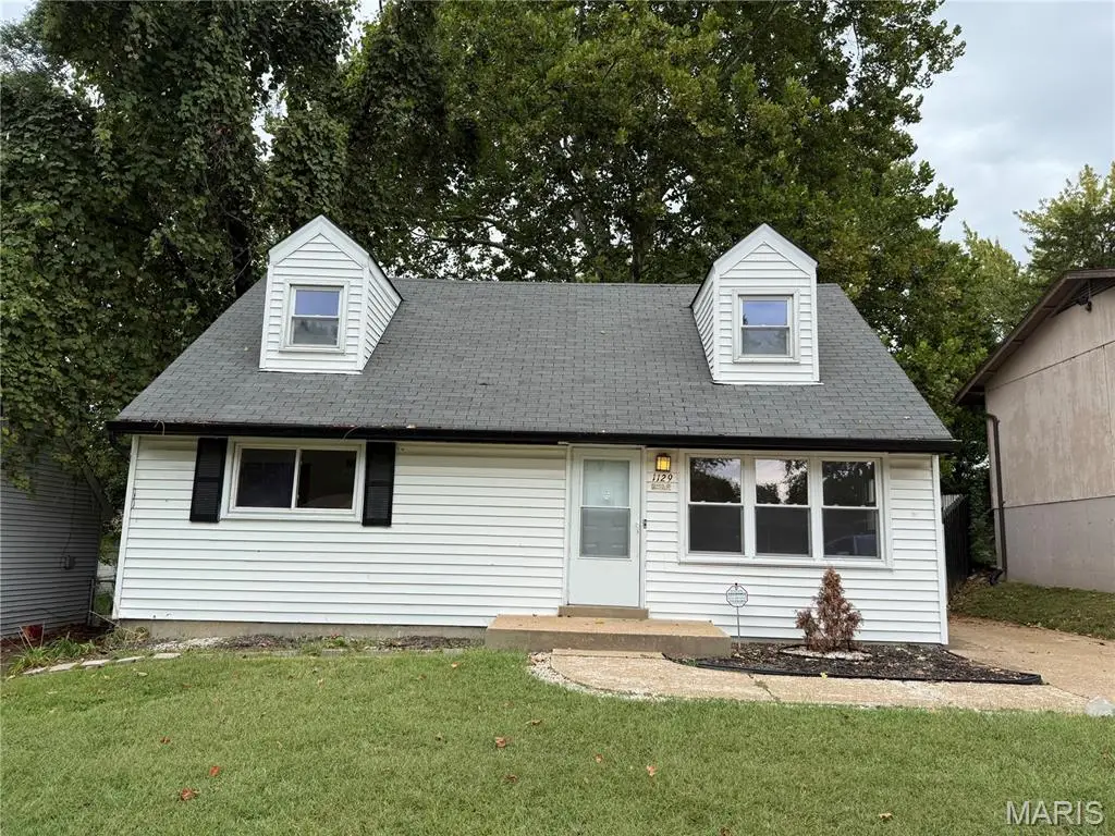 1129 June Avenue, Saint Ferdinand, MO 63138 - #1
