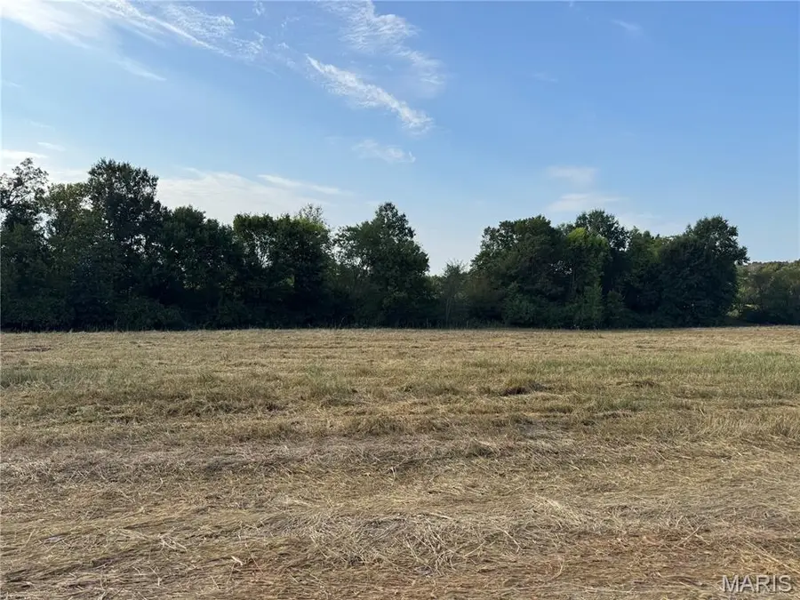 127 Prairie View Drive, Troy, MO 63379 - #3